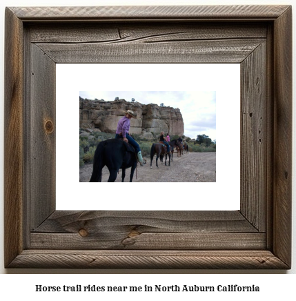 horse trail rides near me in North Auburn, California